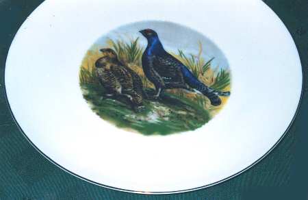 RXH83 Dinner Plate