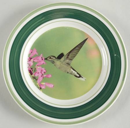 WFE5 Salad Plate
