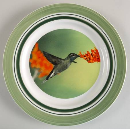 WFE5 Dinner Plate