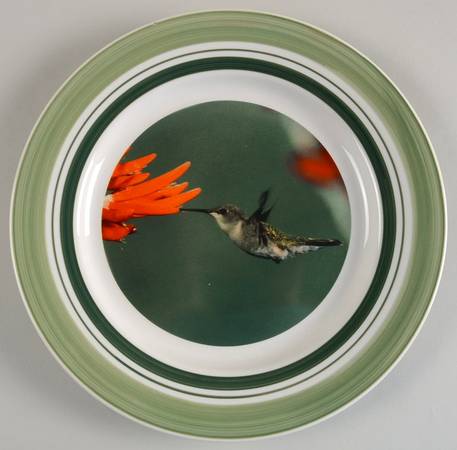 WFE5 Dinner Plate