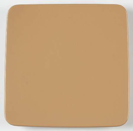 Fun Factory Caramel Square Dinner Plate