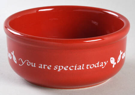 You Are Special Today Cat Bowl