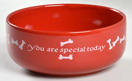 You Are Special Today Dog Bowl