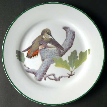 WFE7 by National Wildlife Federation