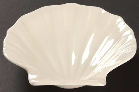 Nautilus Cream by Wedgwood