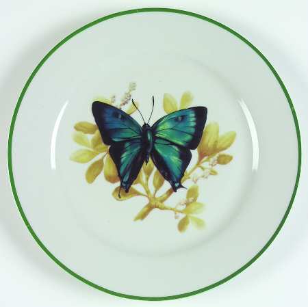 WFE8 Dinner Plate
