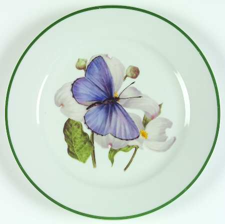 WFE8 Dinner Plate