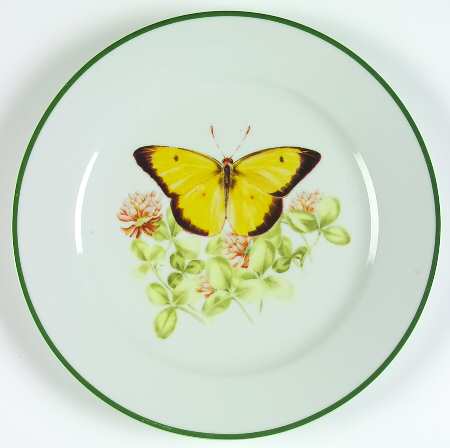 WFE8 Dinner Plate