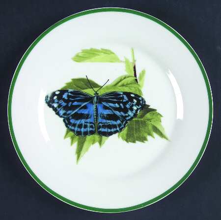 WFE8 Salad Plate