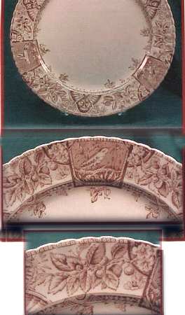 Alexandri Brown (Scallop) by Wallis Gimson