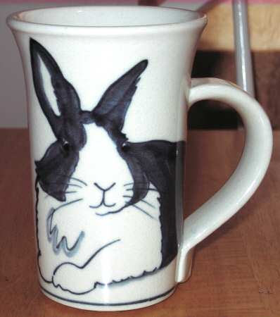 WA1 Mug