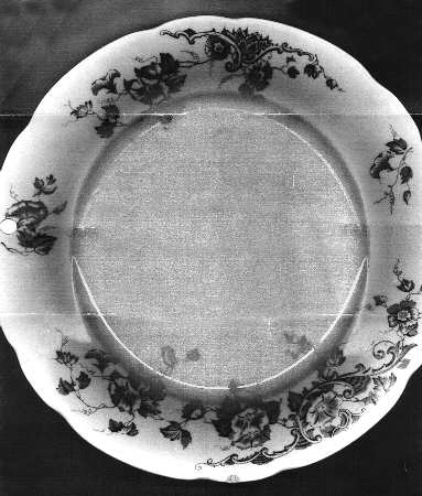Preble Brown by Wedgwood