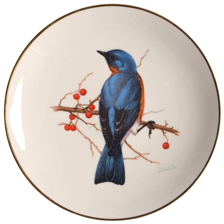WFE10 Salad Plate