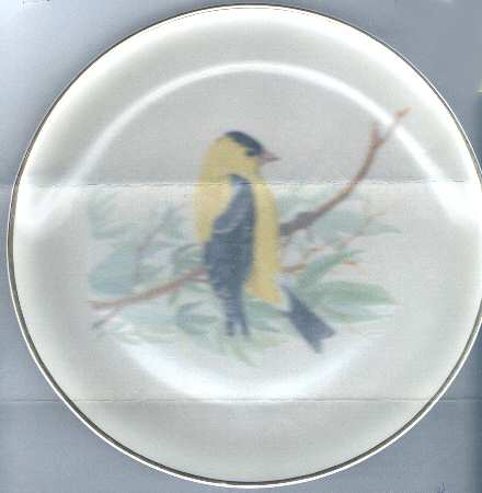 WFE10 Dinner Plate