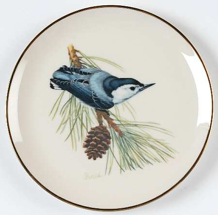 WFE10 Salad Plate