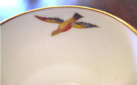 W600 Flat Cup