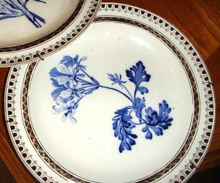 WW518 by Wedgwood