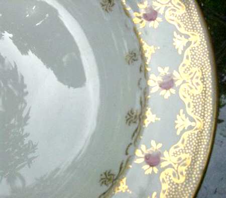 WW519 by Wedgwood