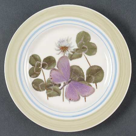 WFE12 Salad Plate