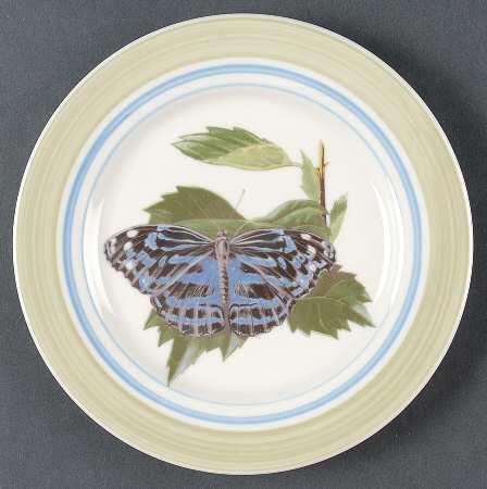 WFE12 Salad Plate