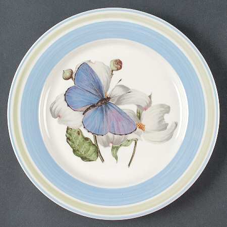 WFE12 Dinner Plate