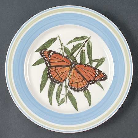 WFE12 Dinner Plate