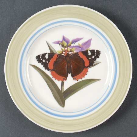 WFE12 Salad Plate