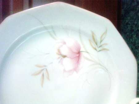 WIG1149 Dinner Plate