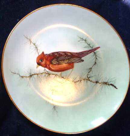W5Ew5e1 Salad Plate