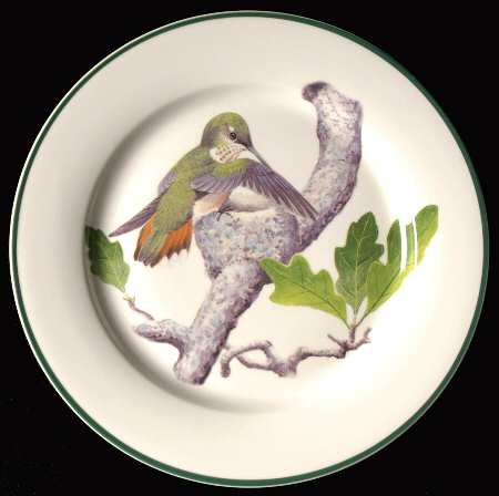 WFE13 by National Wildlife Federation