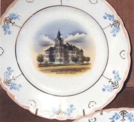 WEI49 Dinner Plate