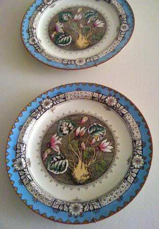 Z1781 by Wedgwood