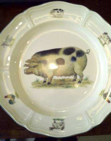 WW563 by Wedgwood