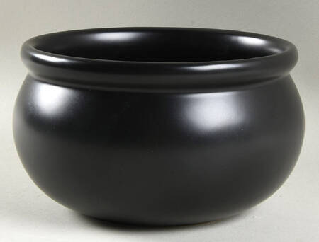 Cauldron by Williams-Sonoma
