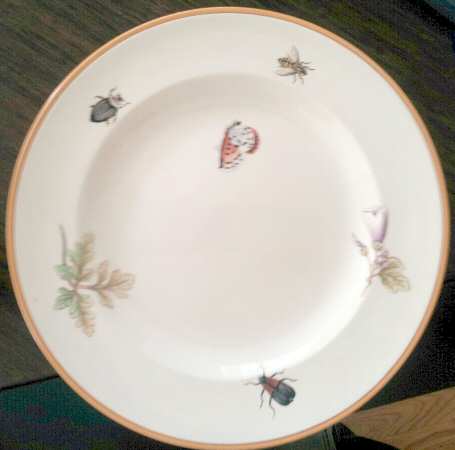 WW582 by Wedgwood