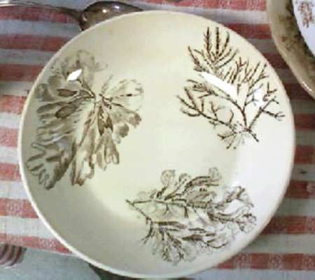 WW589 9" Round Vegetable Bowl