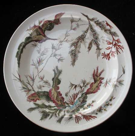 A2343 by Wedgwood
