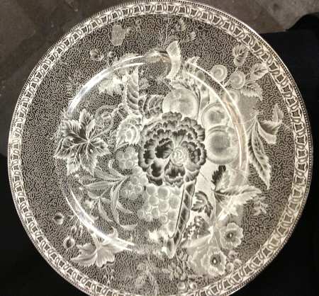 CM5628 by Wedgwood