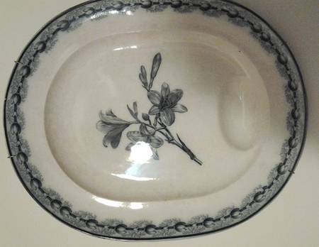 WW601 by Wedgwood