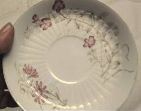 Sylvan Saucer