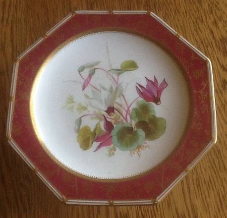 WW628 by Wedgwood