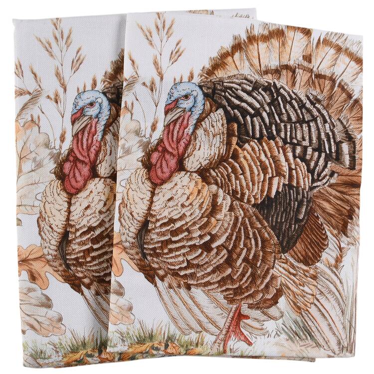 Plymouth Cloth Dish Towel - Set of 2