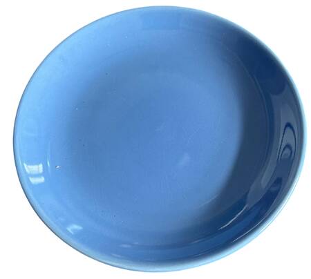 Fun Factory Blue Bell (China) Salad Plate