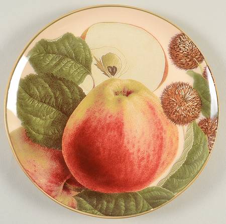 Harvest Fruit by Williams-Sonoma
