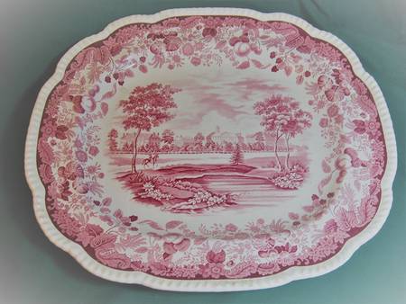 Harvard University Pink (Scalloped) by Wedgwood