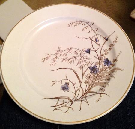 WW690 by Wedgwood