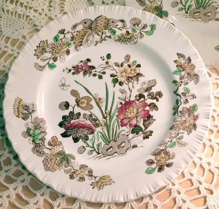 Groups Multicolor (Shell Edge) by Wedgwood