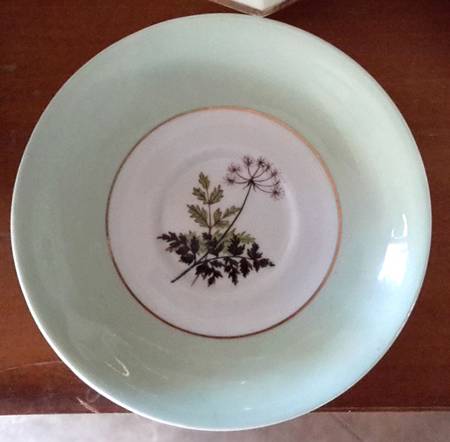 1170 Saucer