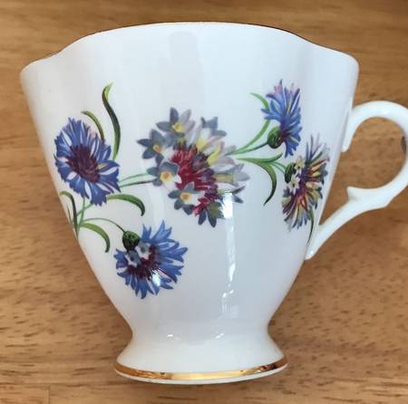 Cornflower by Windsor (England)