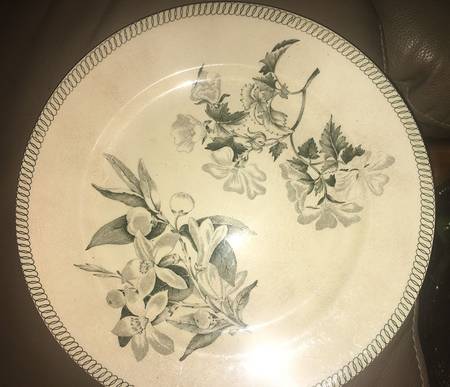 WW701 by Wedgwood